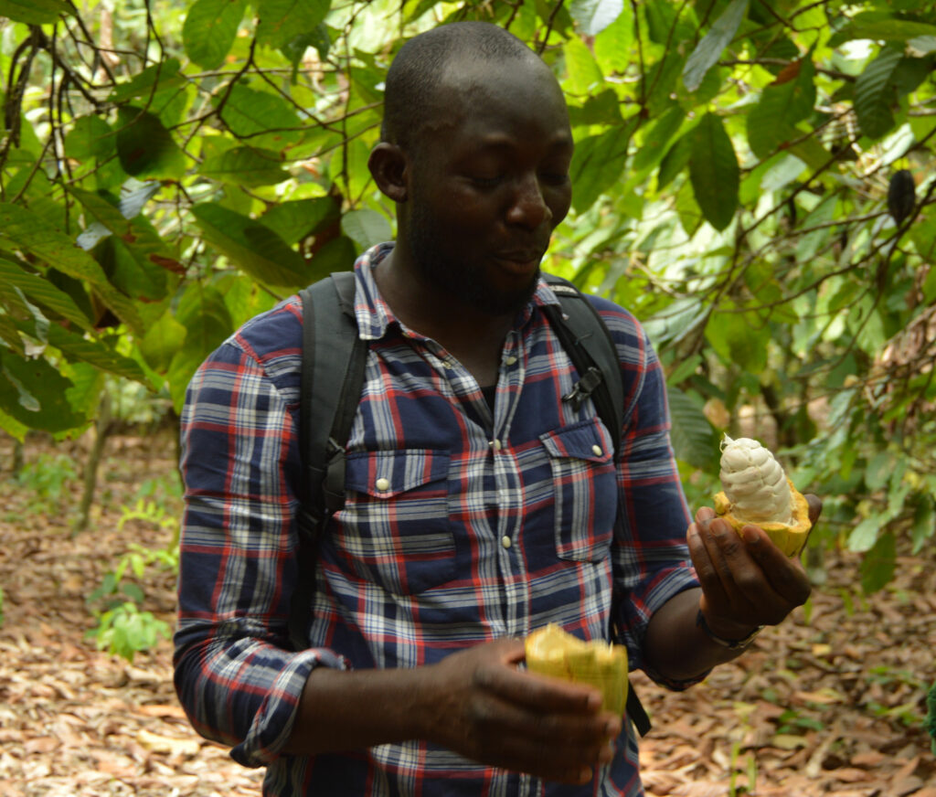 African Entrepreneur